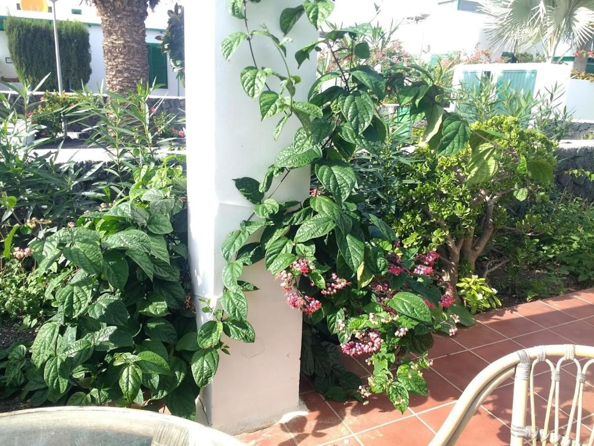 Casa Maracuya Villa Costa Teguise Dış mekan fotoğraf